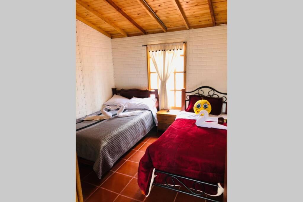 Cabana Buenavista Es Un Lugar Para Descansar. Iza Eksteriør billede