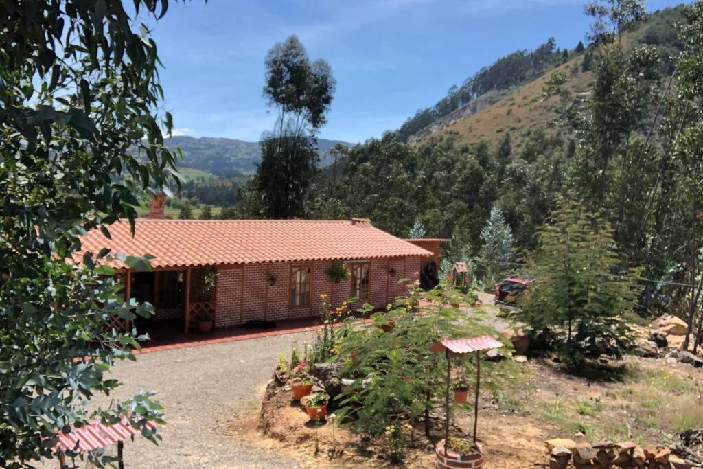Cabana Buenavista Es Un Lugar Para Descansar. Iza Eksteriør billede